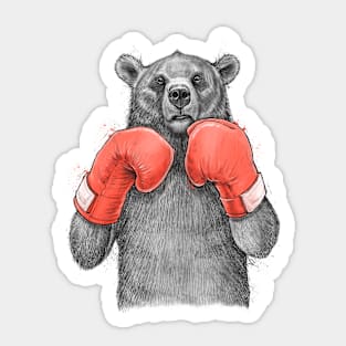 Bear Boxer Sticker